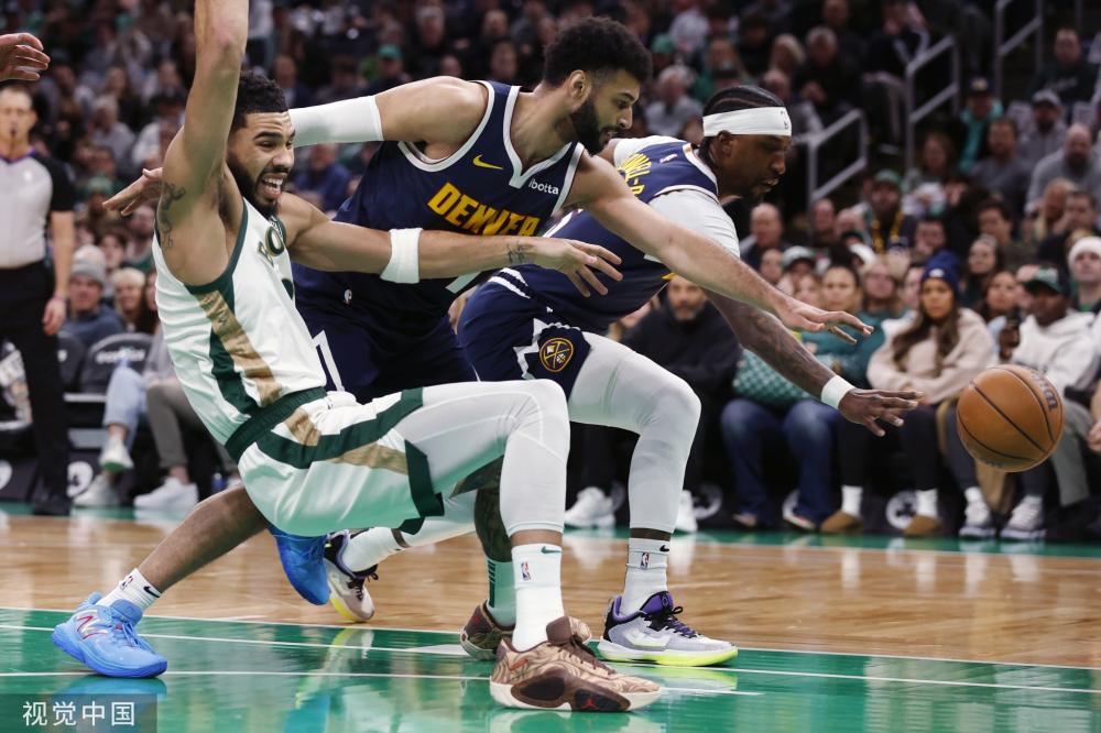 变量项目 变量项目